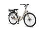 Altec Orion Elektrische Damesfiets 28 inch 52cm 5 klein