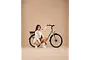 Crown Los Angeles Elektrische Damesfiets 28 inch 52cm 6 klein