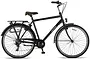 Altec Metro Herenfiets 28 inch 55cm 7v 1 klein