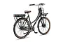 Crown Las Vegas Elektrische Transportfiets 28inch 50cm 7v 7 klein