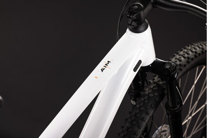 CUBE AIM ONE 29 inch Mountainbike L (1.75m - 1.85m) 19