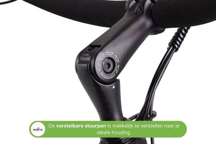 Crown Florence Elektrische Moederfiets 28 inch 55cm 7v 13
