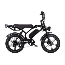 Altec Altec Arion Fatbike 20 inch 7v