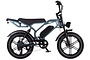 Altec Arion Fatbike 20 inch 7v 3 klein