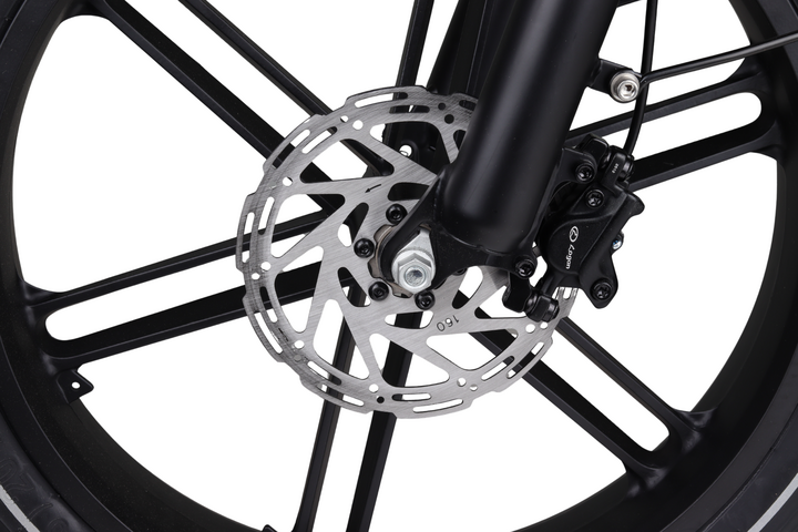 Altec Arion Fatbike 20 inch 7v 9