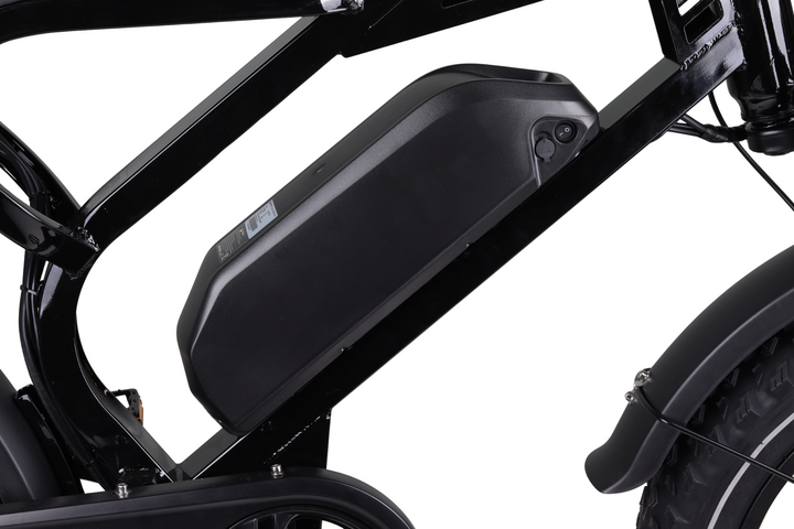 Altec Arion Fatbike 20 inch 7v 10