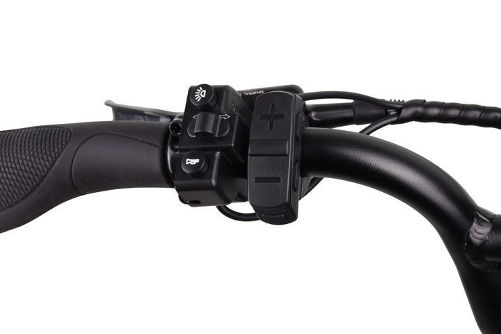 Altec Arion Fatbike 20 inch 7v 13