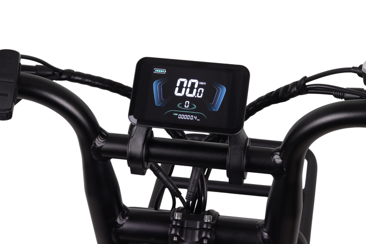 Altec Arion Fatbike 20 inch 7v 15
