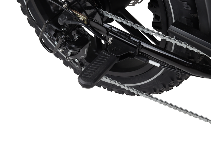 Altec Arion Fatbike 20 inch 7v 16