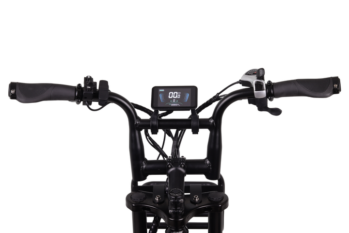 Altec Arion Fatbike 20 inch 7v 17