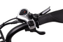 Altec Arion Fatbike 20 inch 7v 20 klein