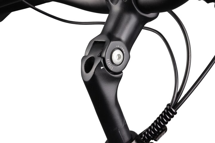Crown Los Angeles Elektrische Damesfiets 28 inch 52cm 12