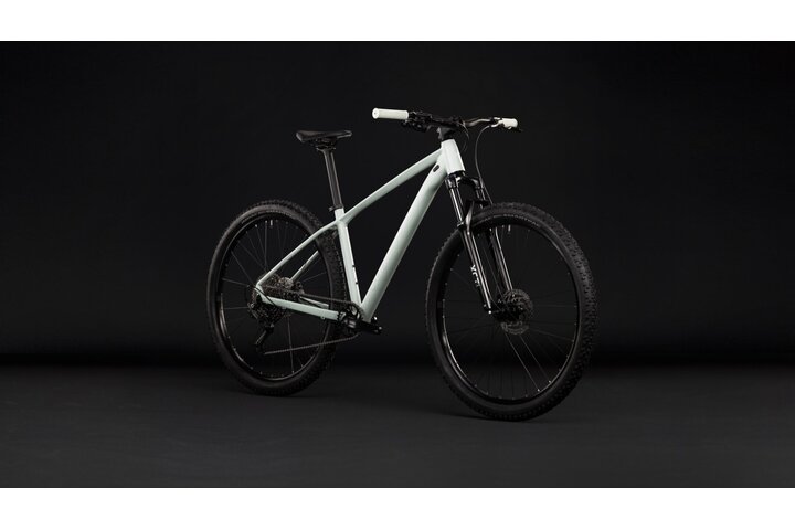 CUBE AIM PRO 29 inch Mountainbike L (1.77m - 1.82m) 16v 6