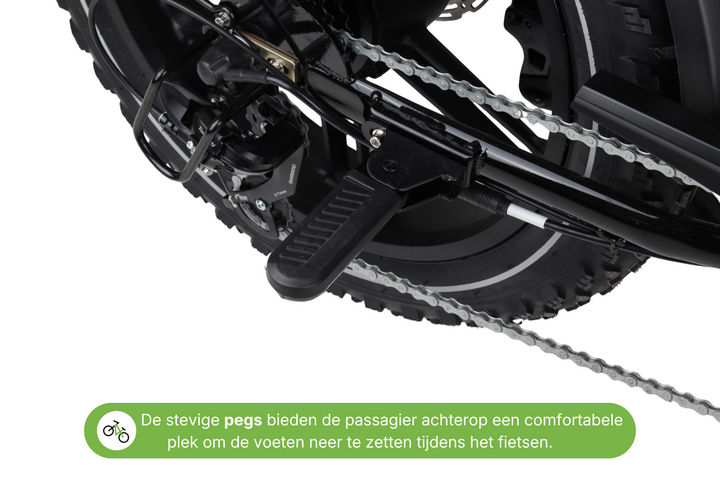 Altec Arion Fatbike 20 inch 7v 13
