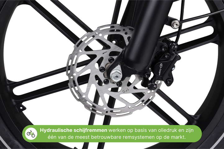 Altec Arion Fatbike 20 inch 7v 10