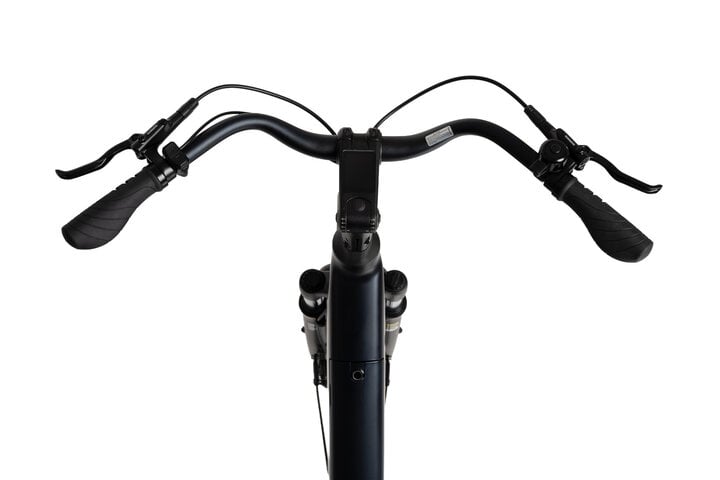 Crown Luxor Elektrische Damesfiets 28 inch 53cm 8