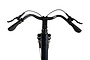 Crown Luxor Elektrische Damesfiets 28 inch 53cm 8 klein