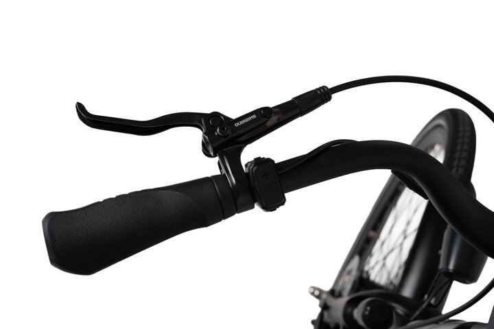 Crown Montreal Elektrische Damesfiets 28 inch 55cm 7v 10