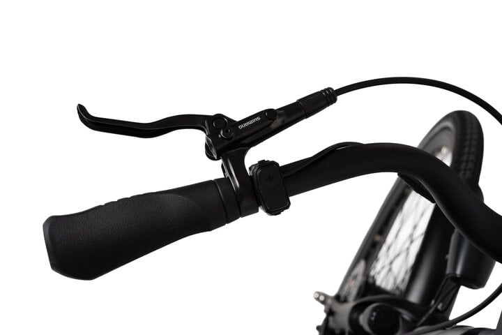 Crown Montreal Elektrische Damesfiets 28 inch 50 cm 7v 10