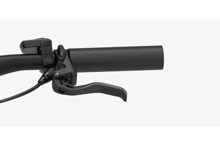 Reany W1 Pro Elektrische Damesfiets 28 inch 48cm Belt 5
