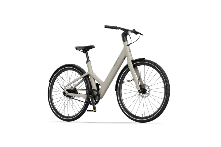 Reany W1 Pro Elektrische Damesfiets 28 inch 48cm Belt 2