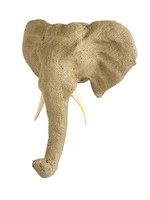 Dierenkop olifant XL