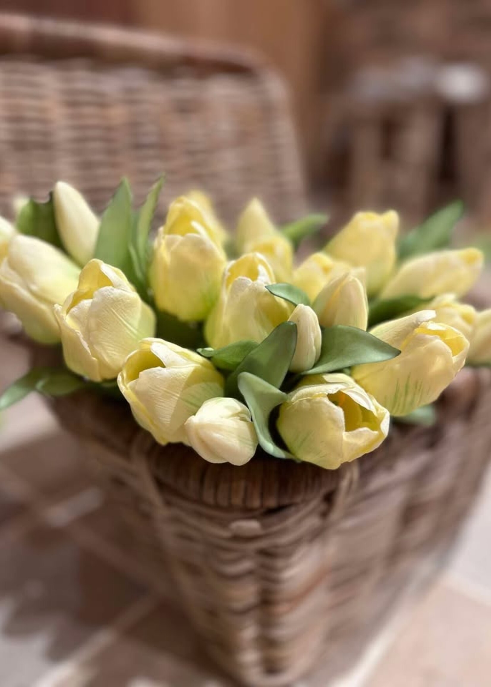 Tulpenbundel banana 30 cm