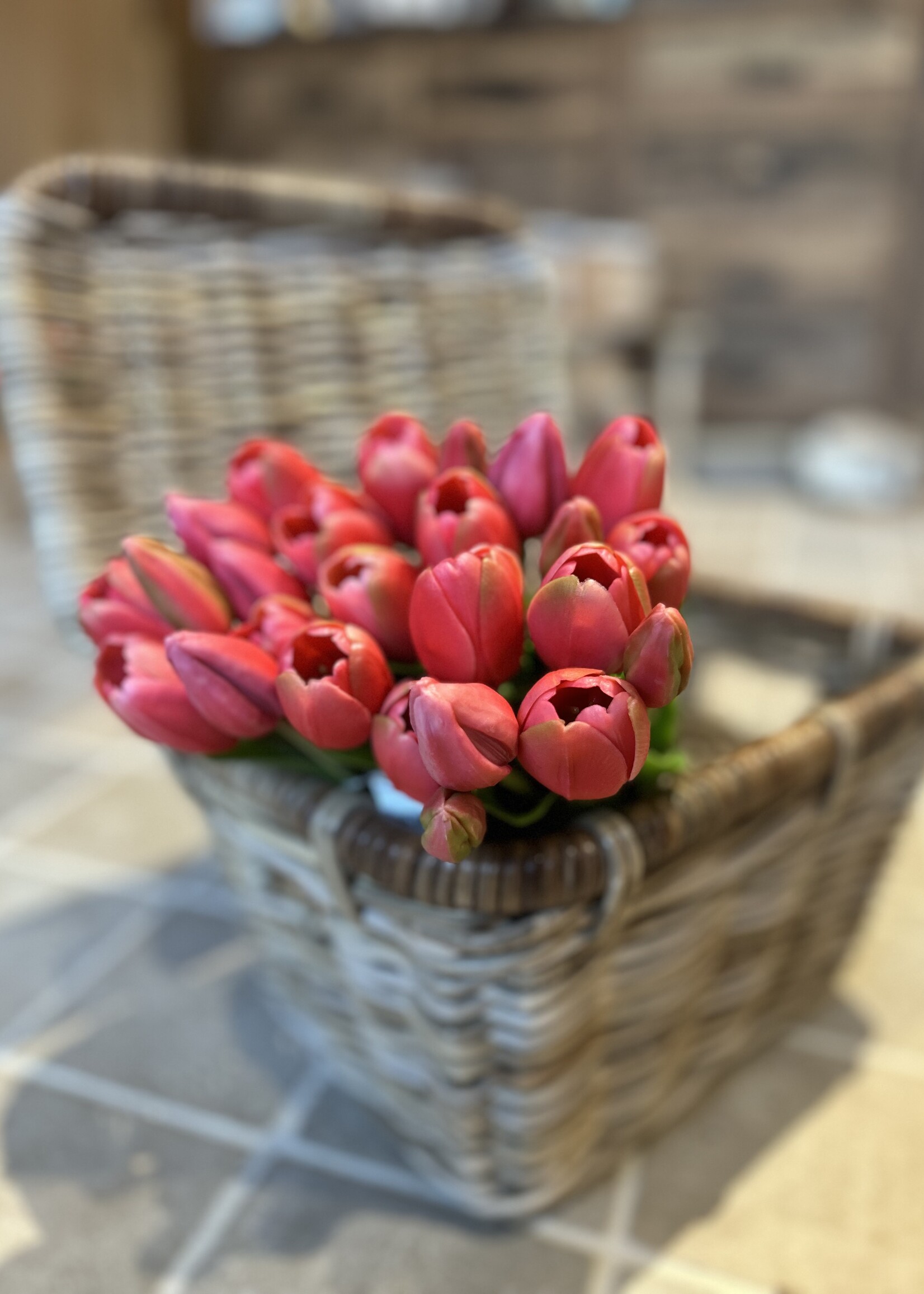 Tulp 36 cm donkerroze (5st)