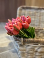 Tulp 36 cm donkerroze (5st)