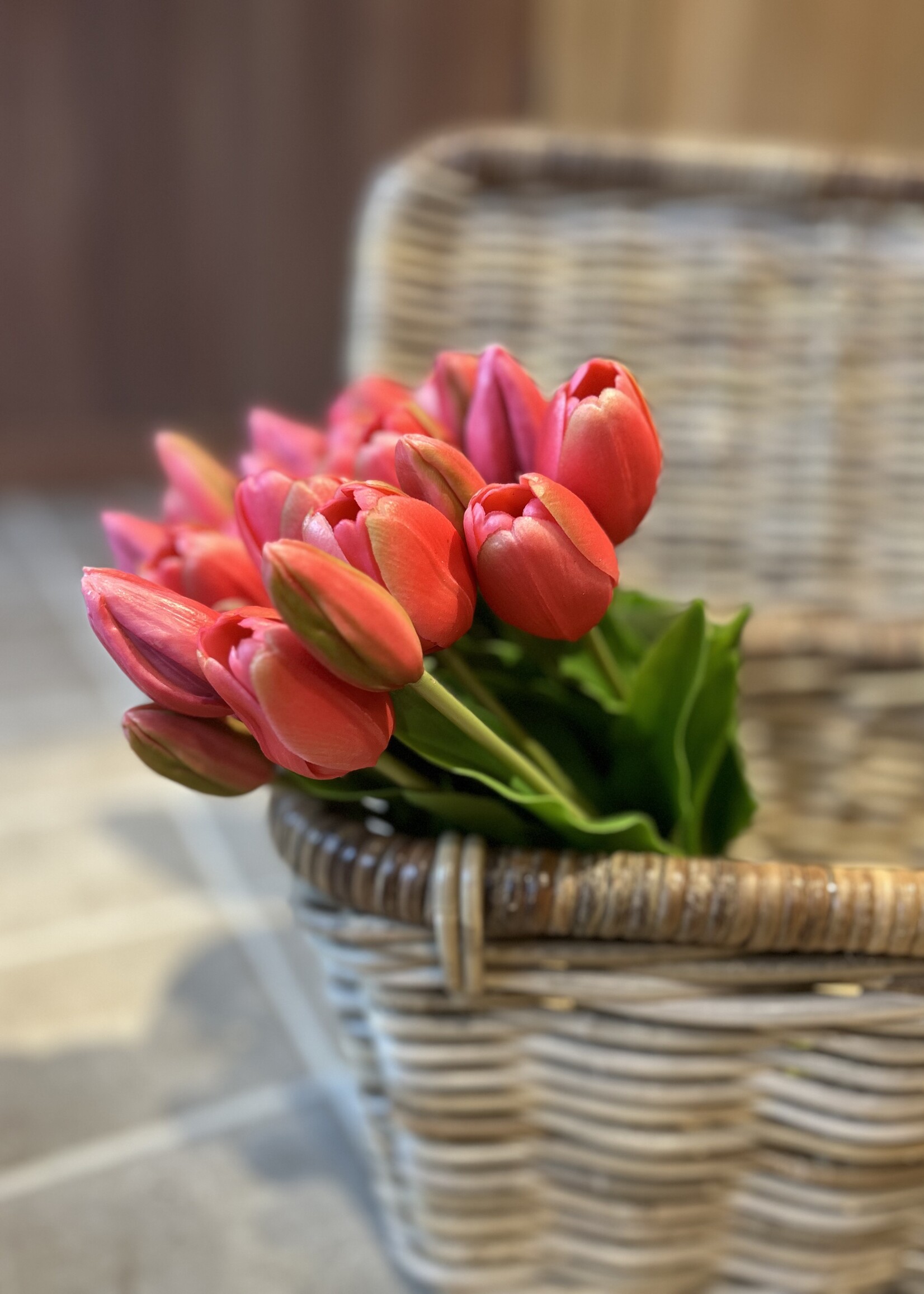 Tulp 36 cm donkerroze (5st)