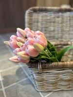 Tulp 36 cm babyroze (5st)