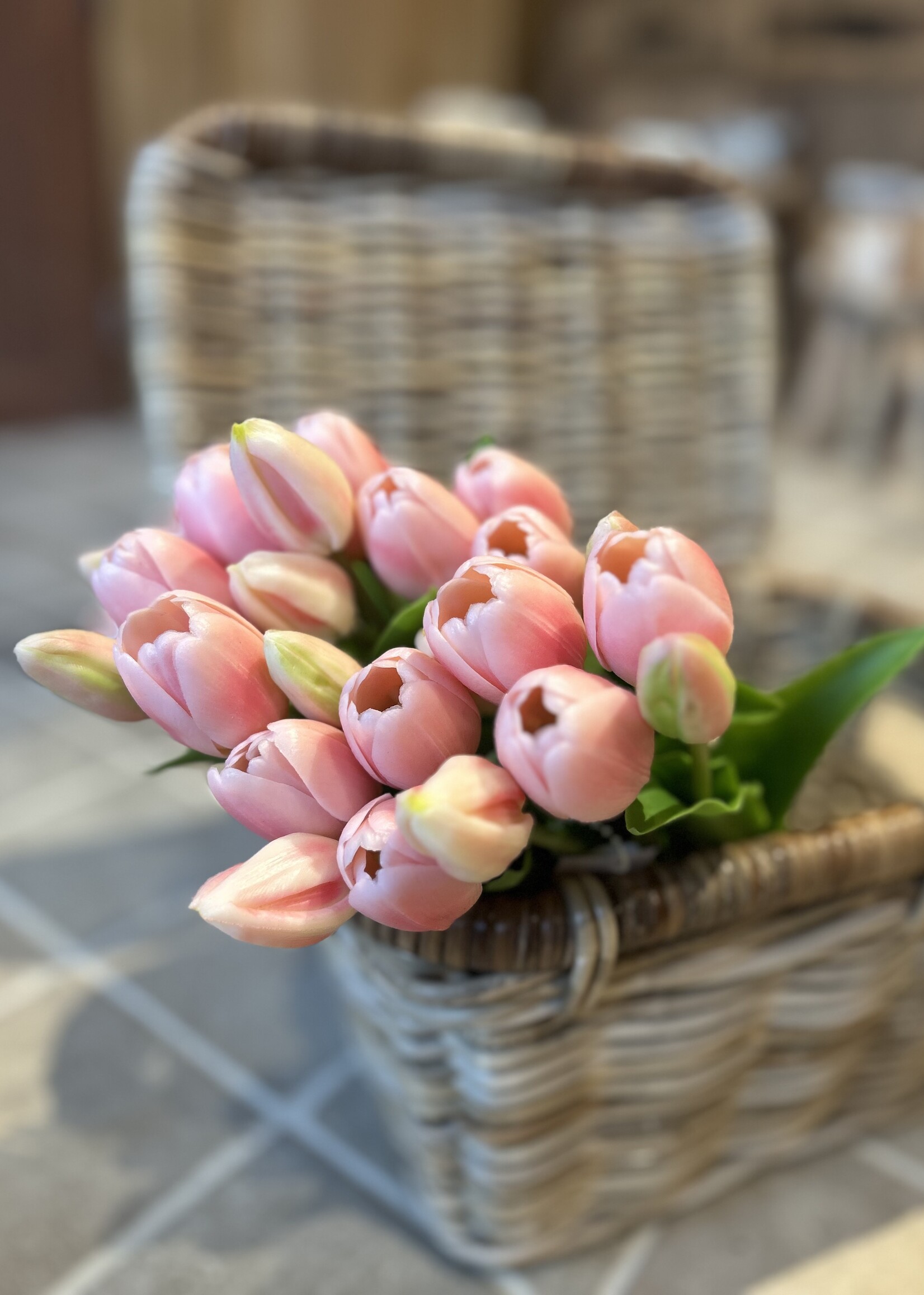 Tulp 36 cm babyroze (5st)