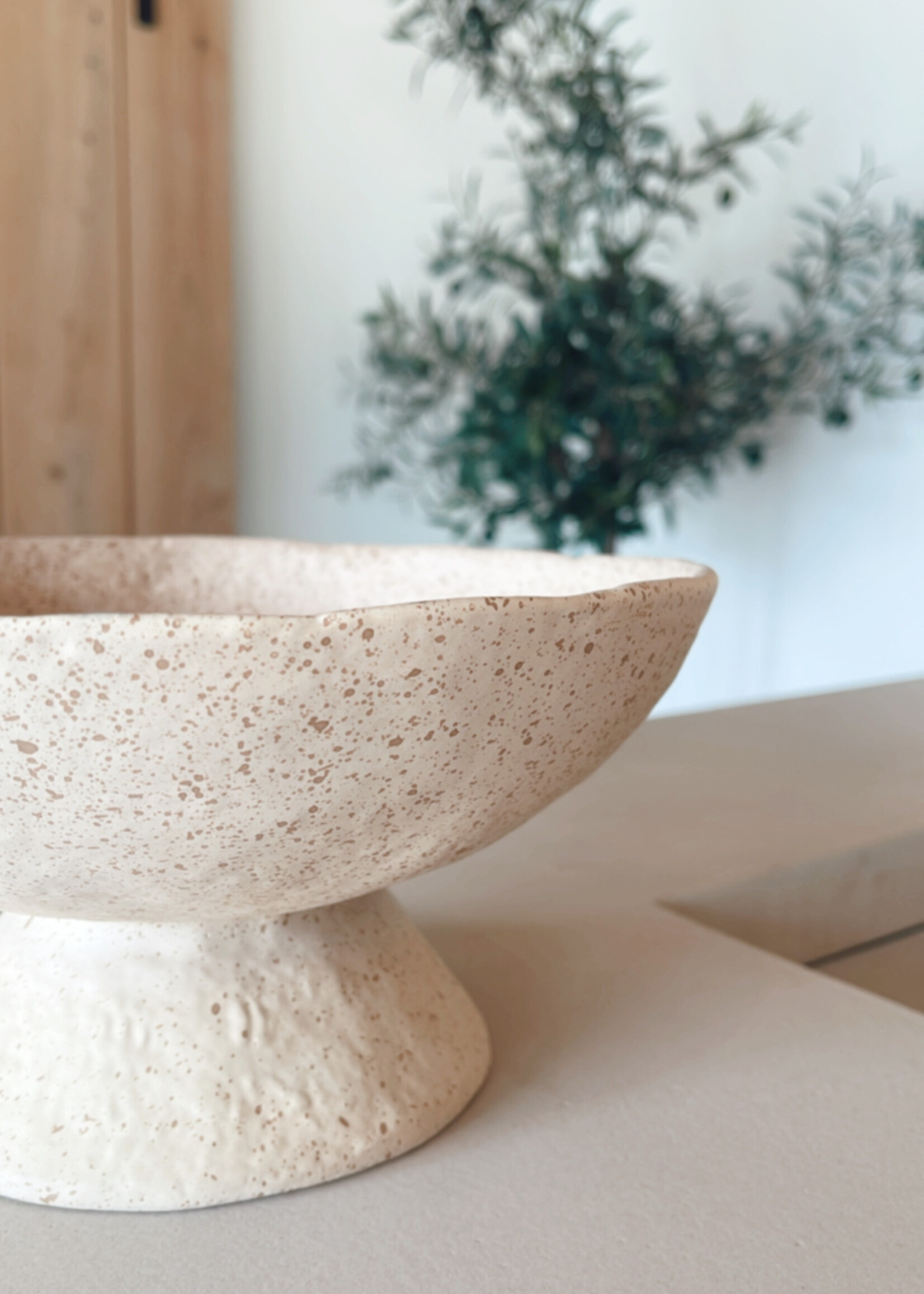 Schaal op voet zand gespikkeld