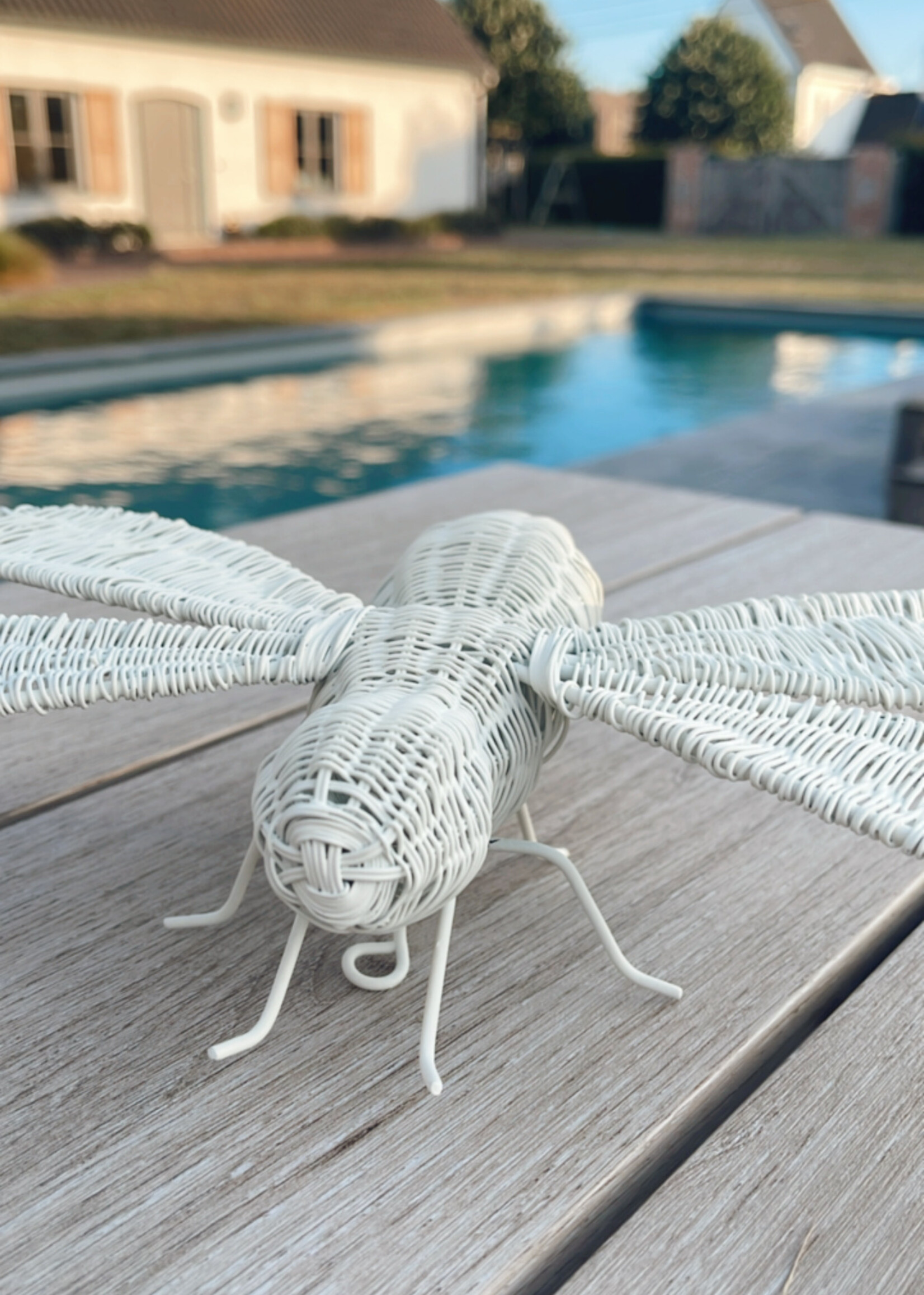 Figuur libelle wit draad