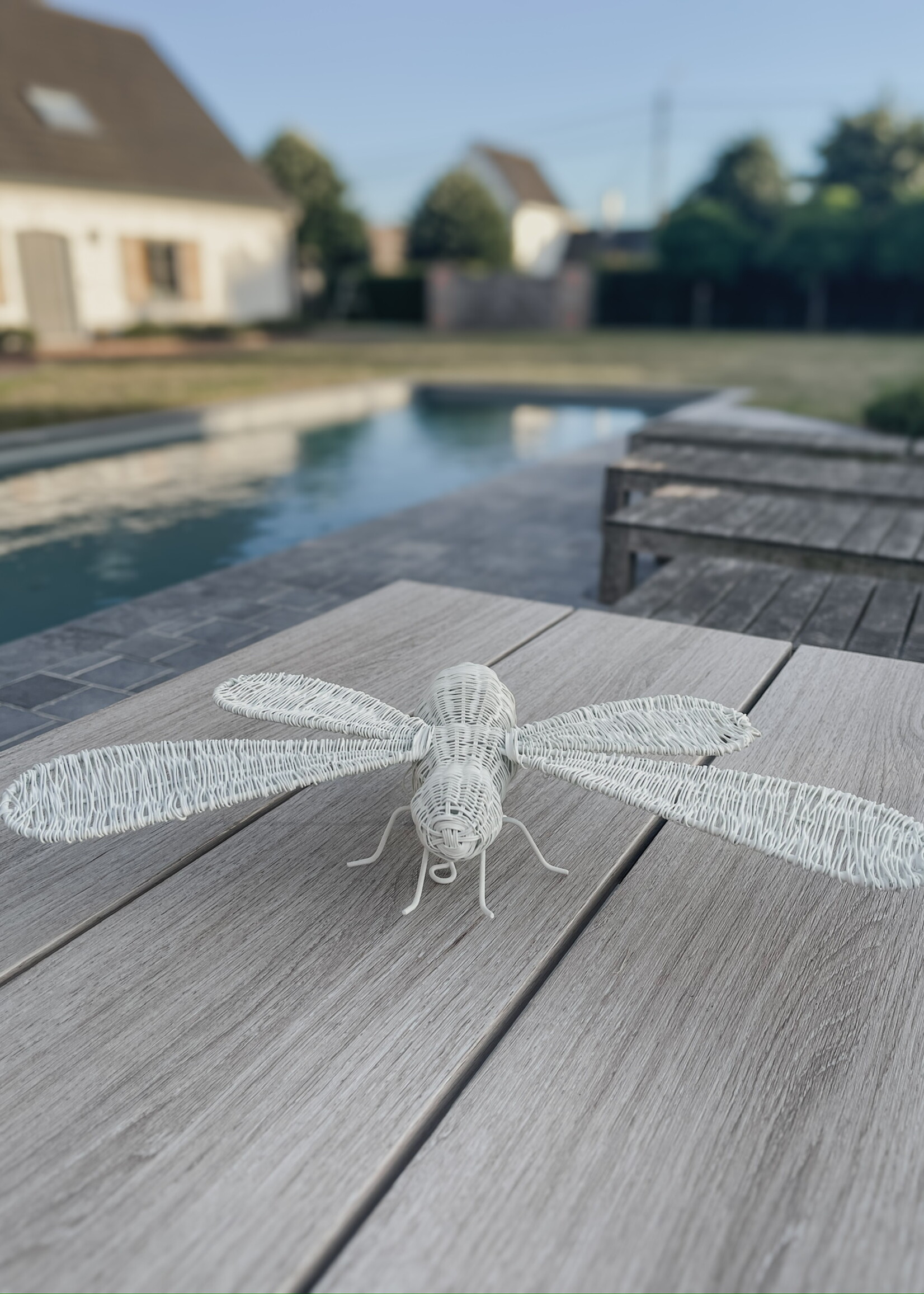 Figuur libelle wit draad