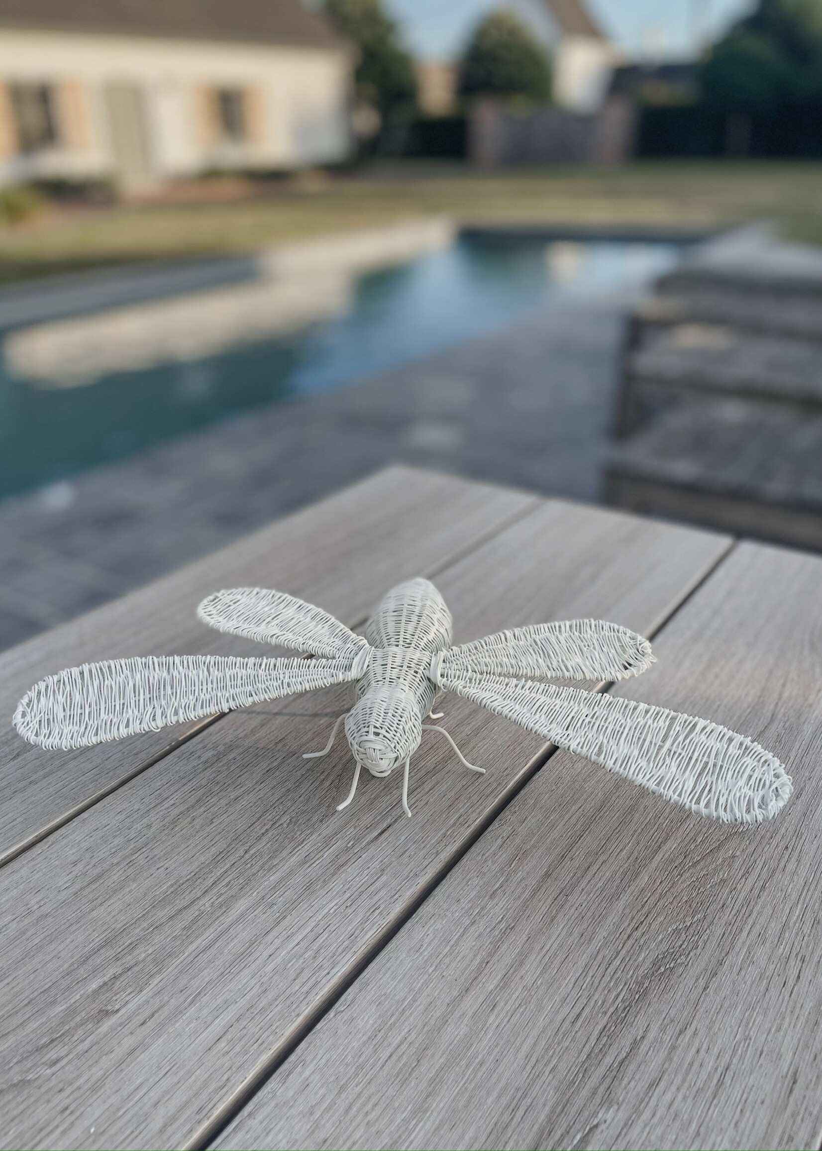 Figuur libelle wit draad