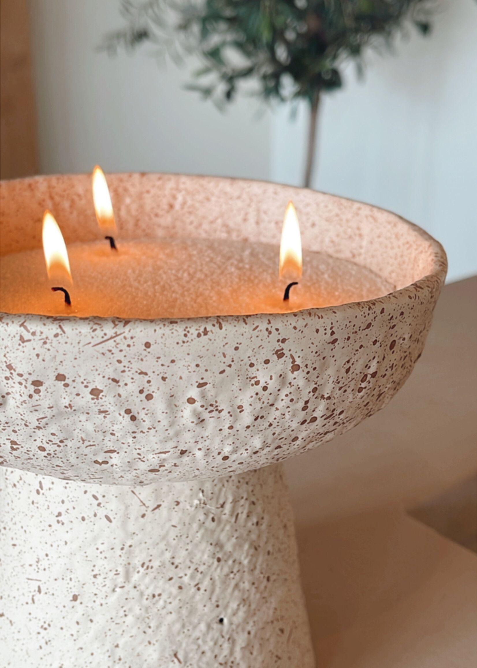 Schaal op voet hoog zand gespikkeld