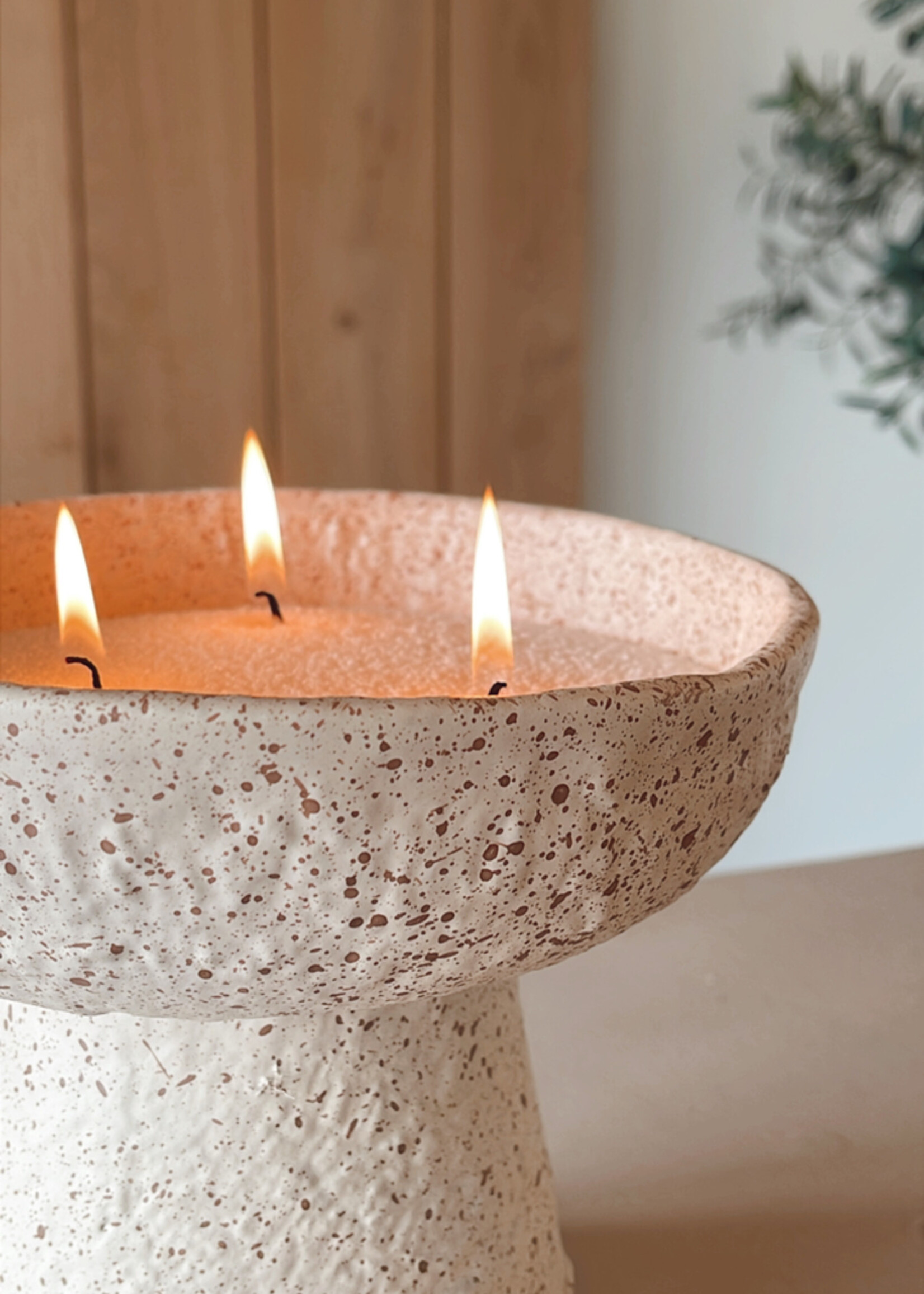 Schaal op voet hoog zand gespikkeld