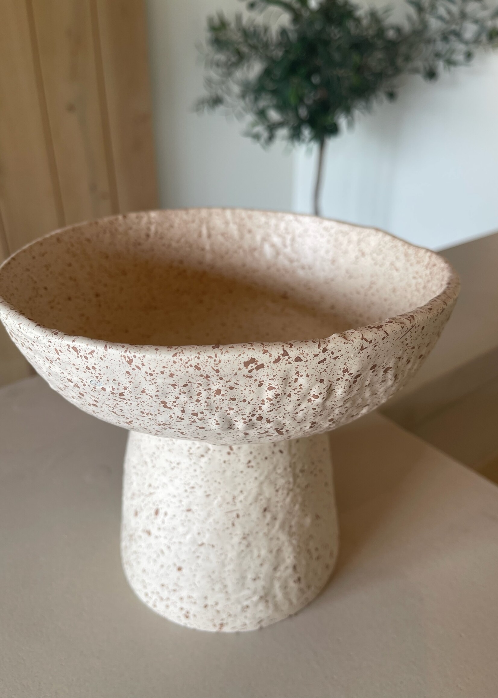 Schaal op voet hoog zand gespikkeld