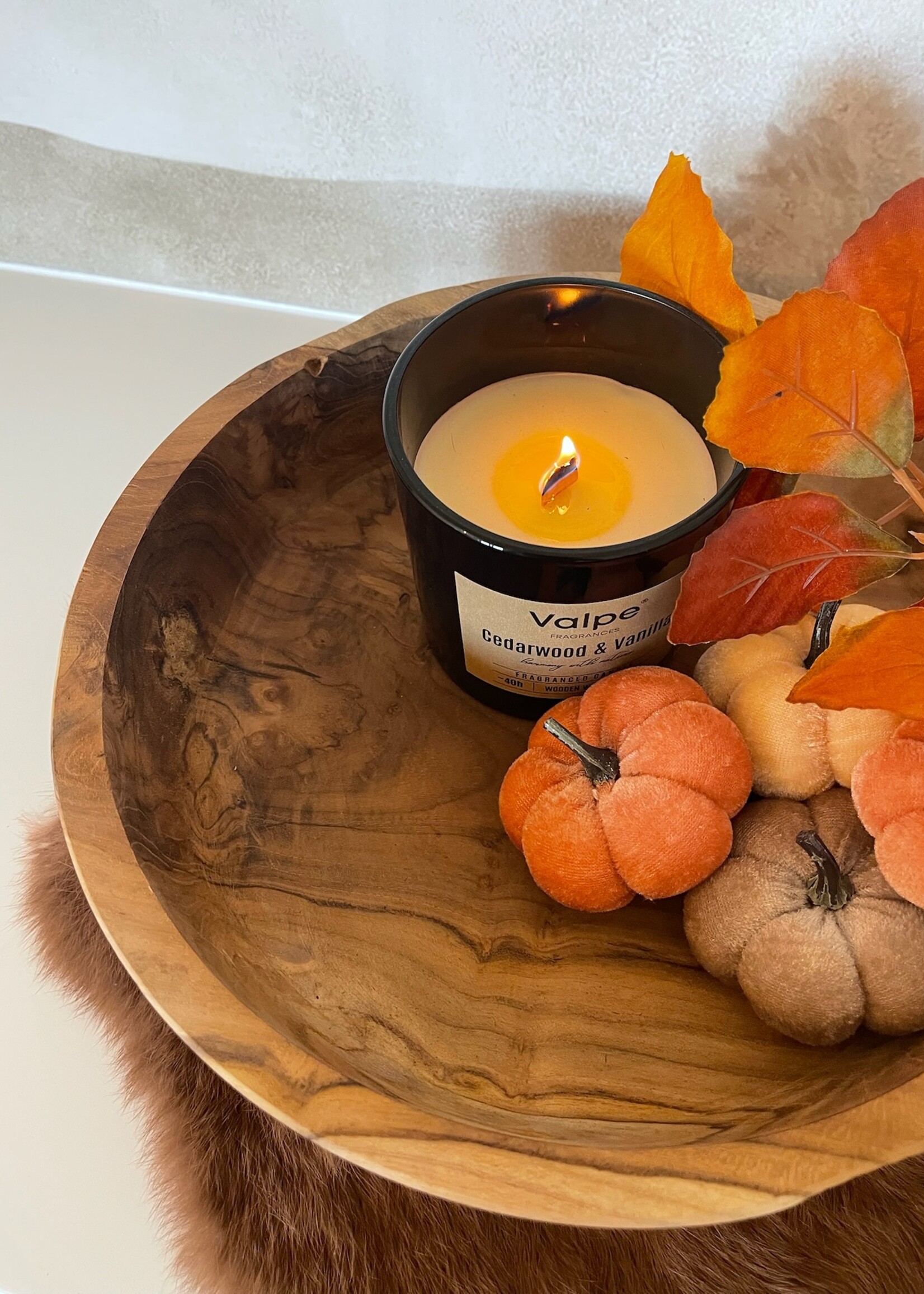 Pompoen velvet oranje mix 8 cm