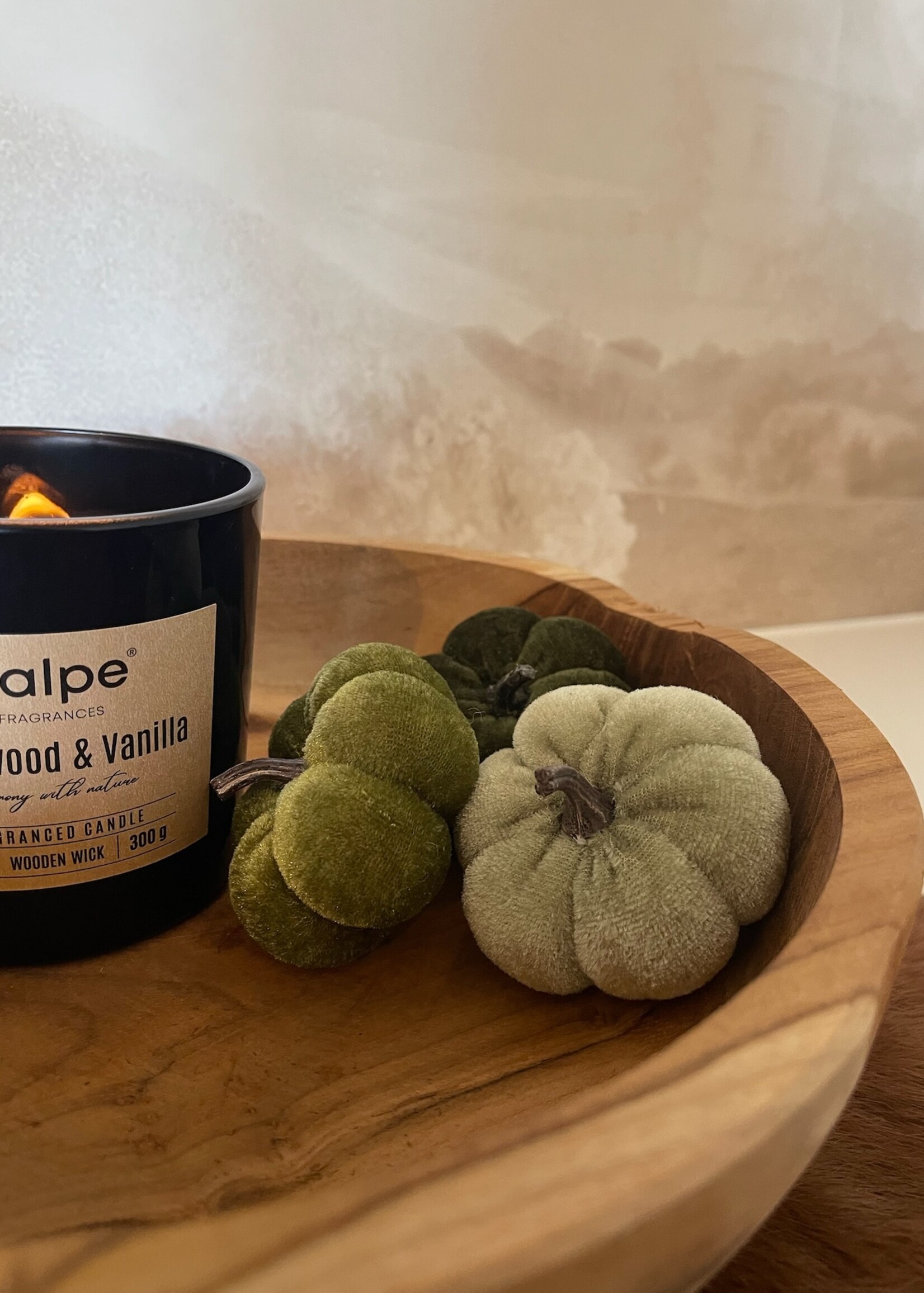 Pompoen velvet groen mix 8 cm