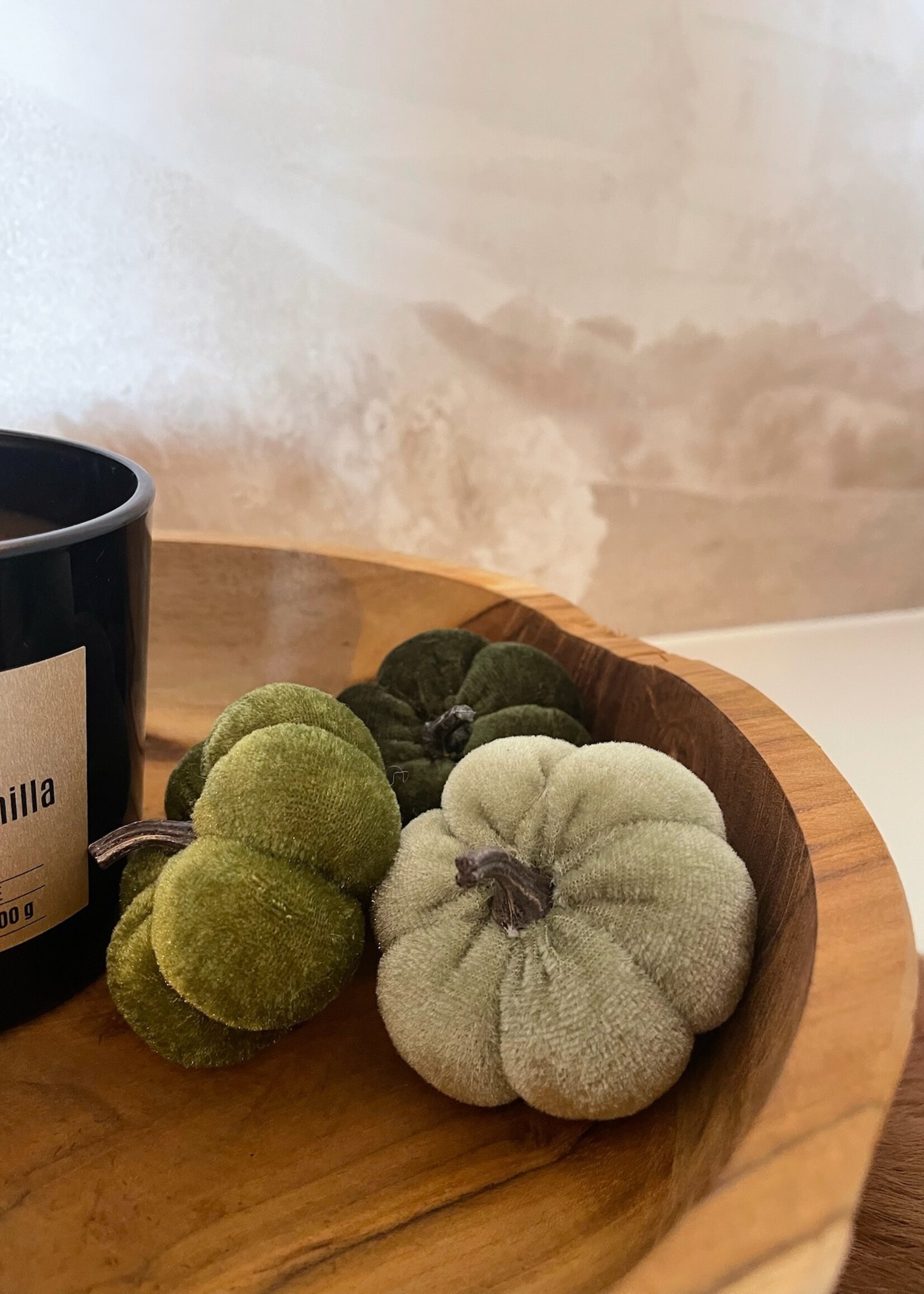 Pompoen velvet groen mix 8 cm