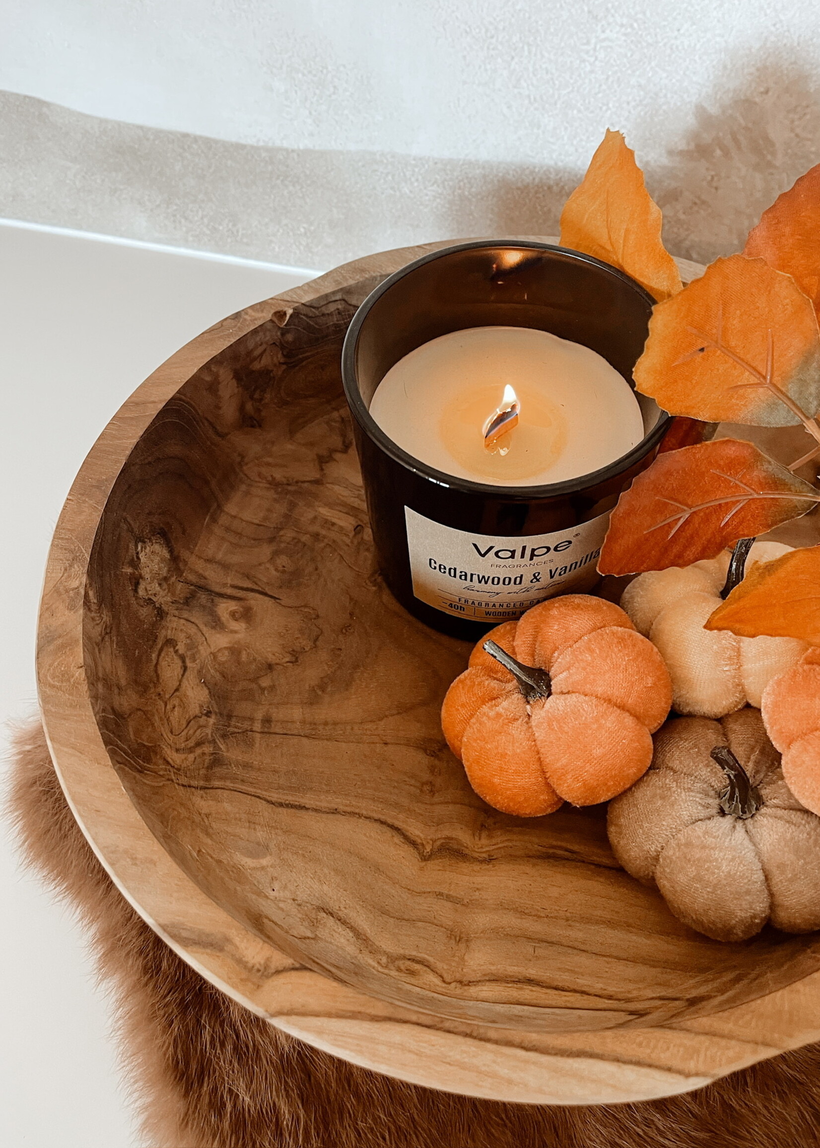 Pompoen velvet oranje mix 5 cm