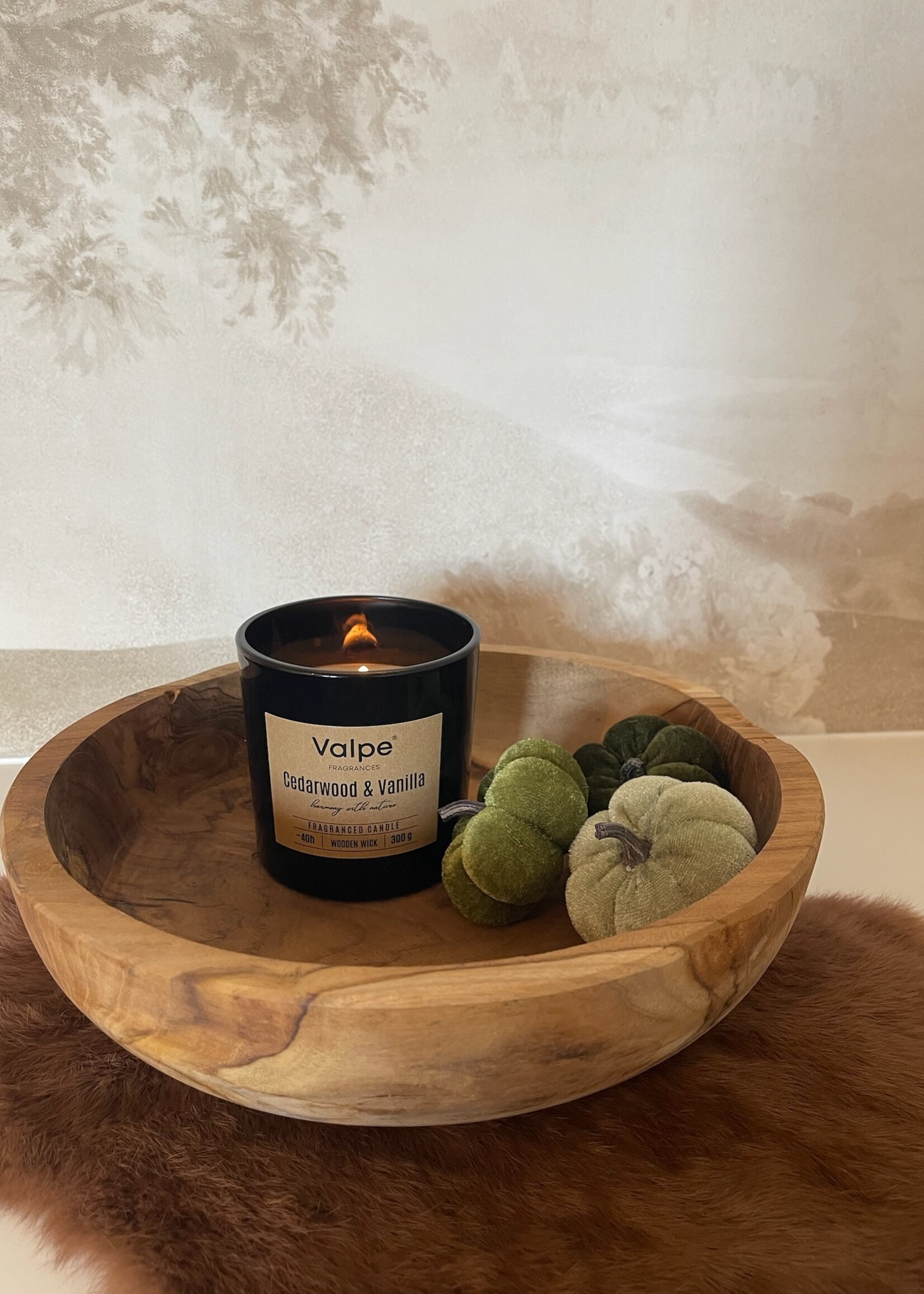 Pompoen velvet groen mix 5 cm