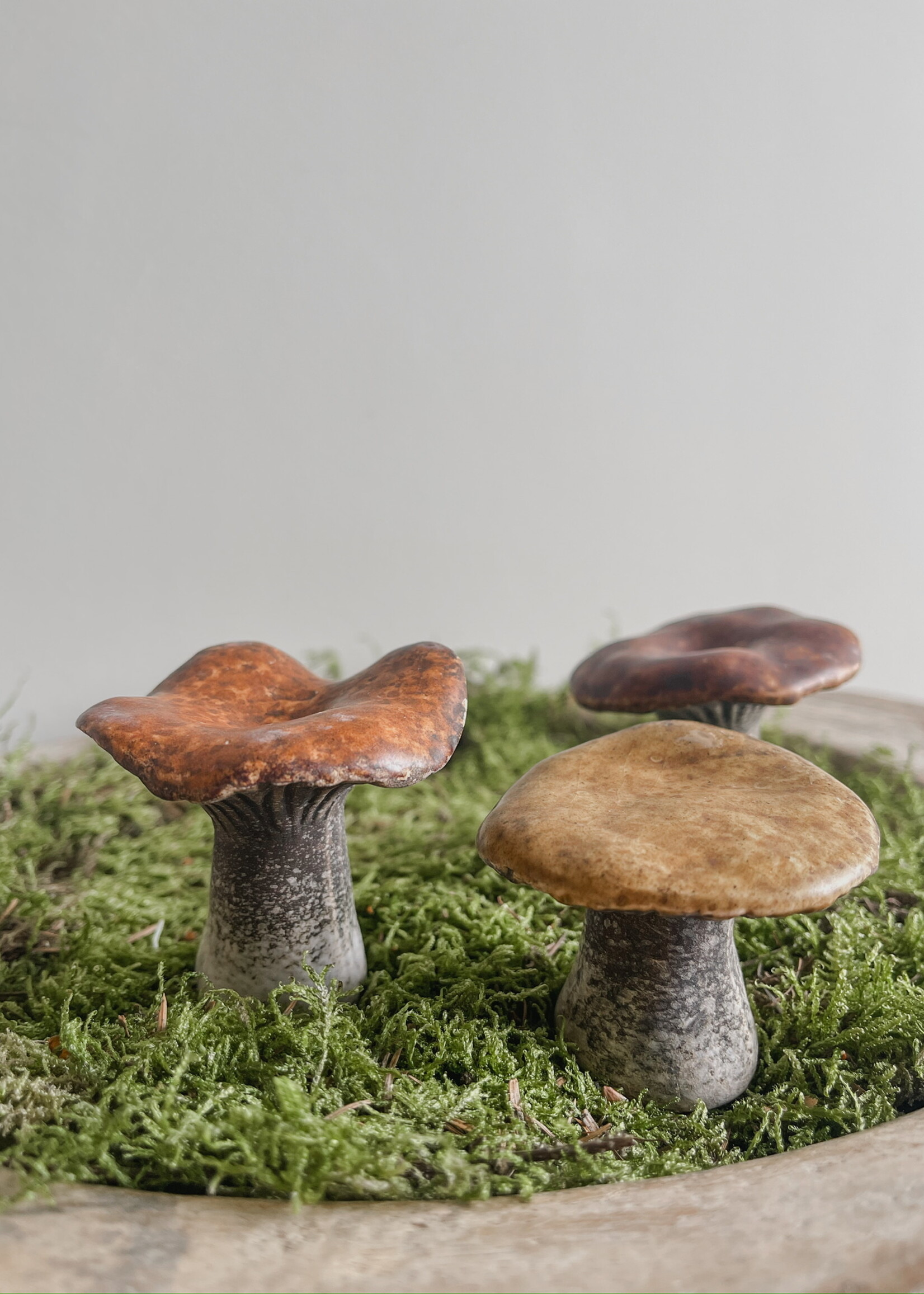 Paddenstoel klein bruin/mosterd tinten set 3