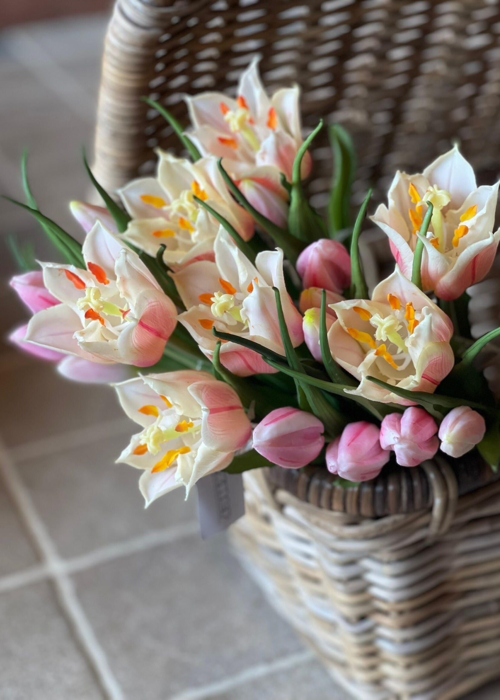 Tulpenbundel open lichtroze (3st) 40 cm