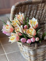 Tulpenbundel open lichtroze (3st) 40 cm