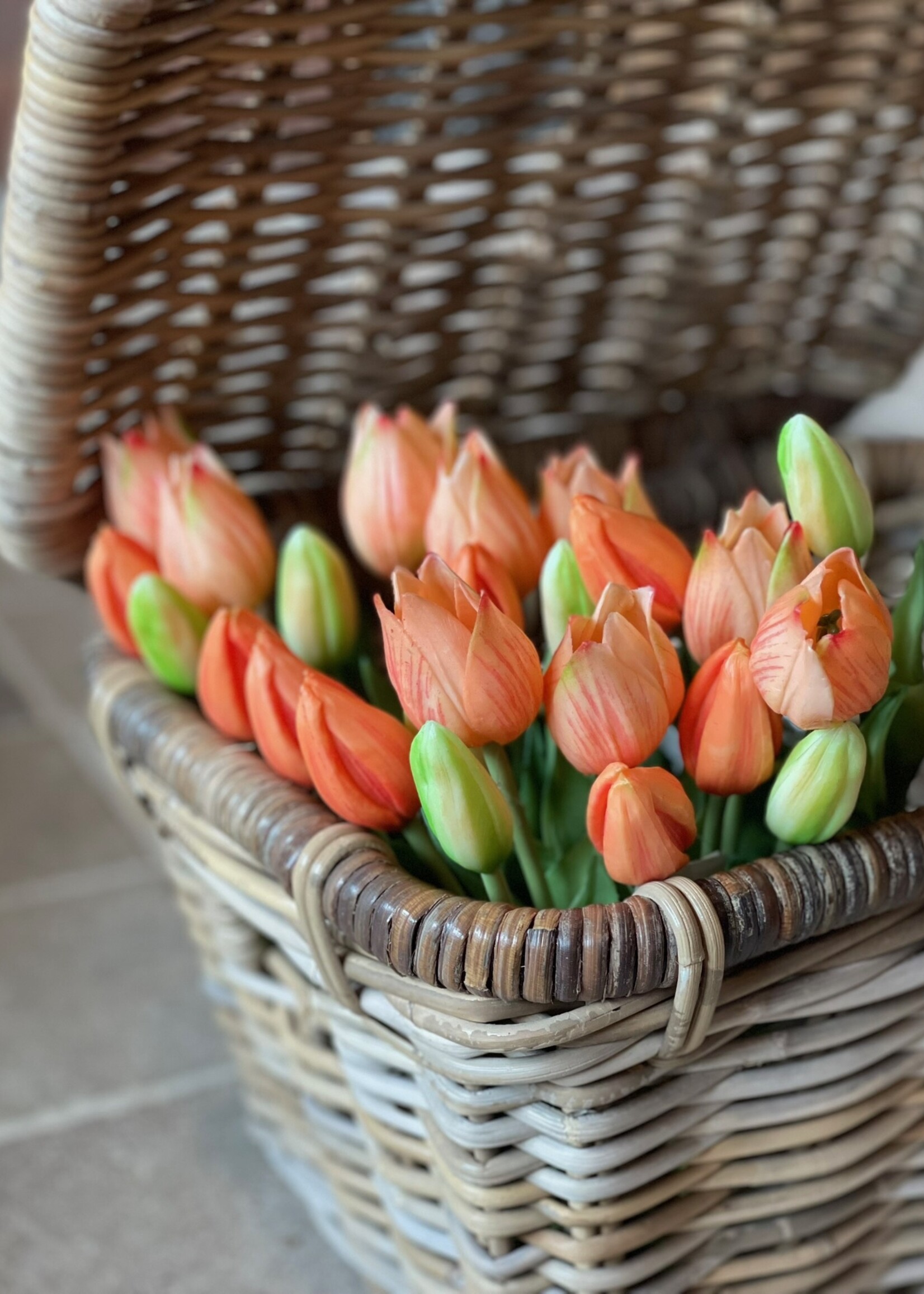 Tulp mini oranje (set van 3)