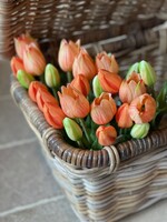 Tulp mini oranje (set van 3)