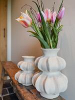 Vaas bubble poreus L